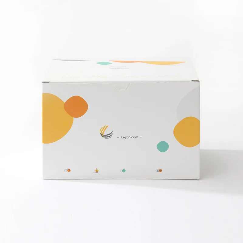 Custom Printed Corrugated Mailer Box for E-commerce Shipping, view 5