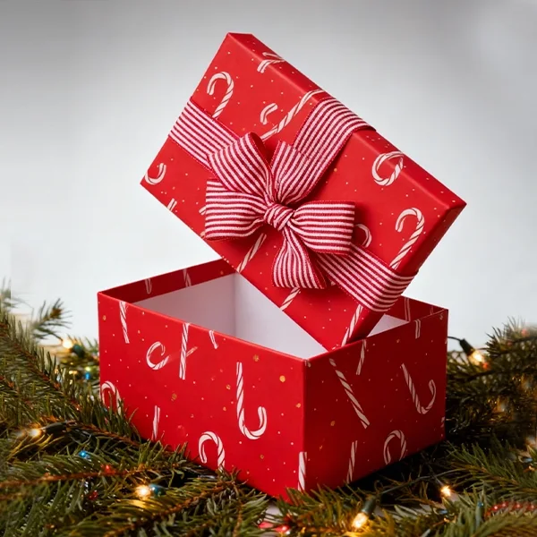 Decorative packaging boxes — packaging illustration 2