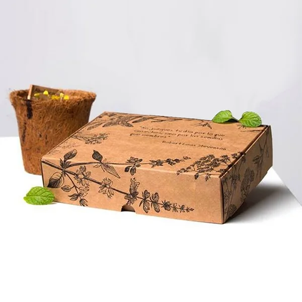 Plant packaging boxes — packaging illustration 2