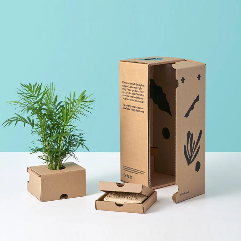 Plant Seed Mailer Box, view 5