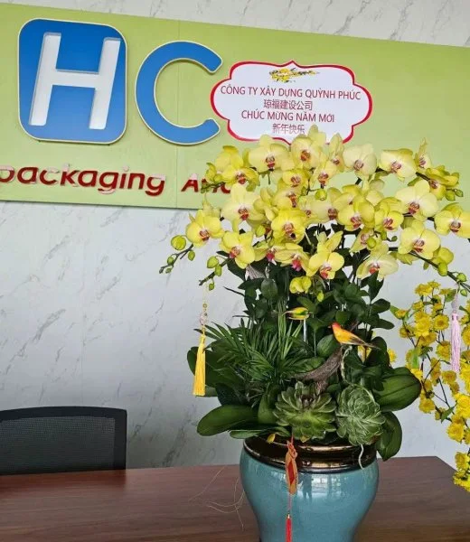 Vietnam packaging: a historical company introduction — archive photograph 2