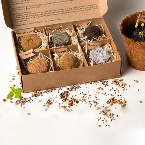 Plant packaging boxes — packaging illustration 3