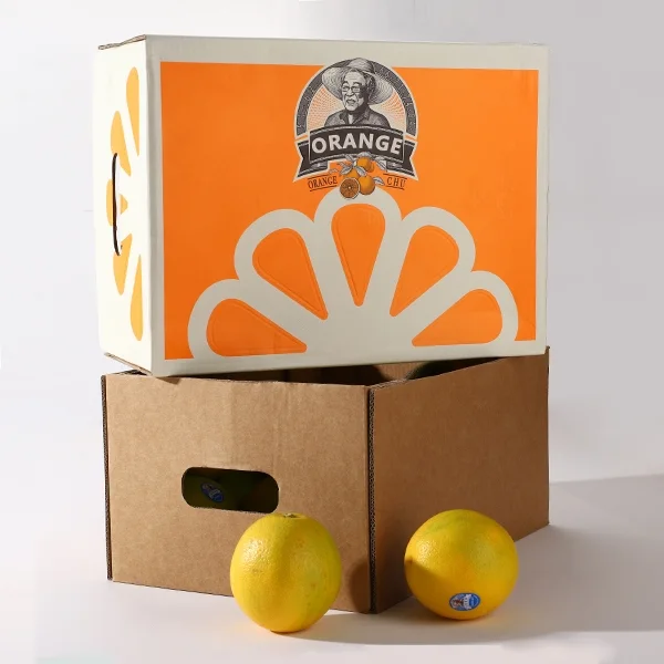Gift carton box — packaging illustration 2