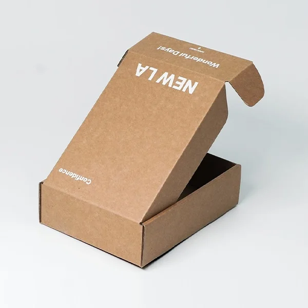 Kraft box mailers — packaging illustration 2